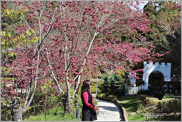 統一清境小瑞士花園 Swiss Garden-2022-02-62.jpg