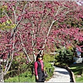 統一清境小瑞士花園 Swiss Garden-2022-02-63.jpg