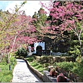 統一清境小瑞士花園 Swiss Garden-2022-02-61.jpg