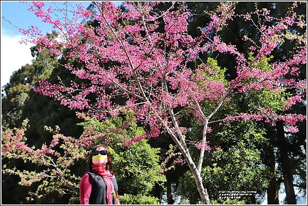 統一清境小瑞士花園 Swiss Garden-2022-02-66.jpg