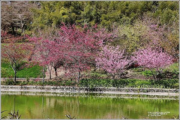 統一清境小瑞士花園 Swiss Garden-2022-02-69.jpg