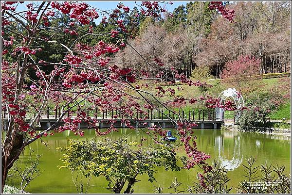 統一清境小瑞士花園 Swiss Garden-2022-02-70.jpg