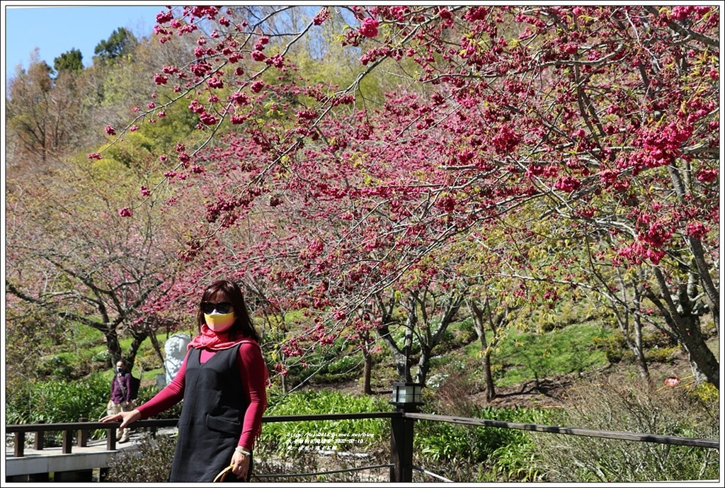 統一清境小瑞士花園 Swiss Garden-2022-02-80.jpg