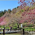 統一清境小瑞士花園 Swiss Garden-2022-02-79.jpg