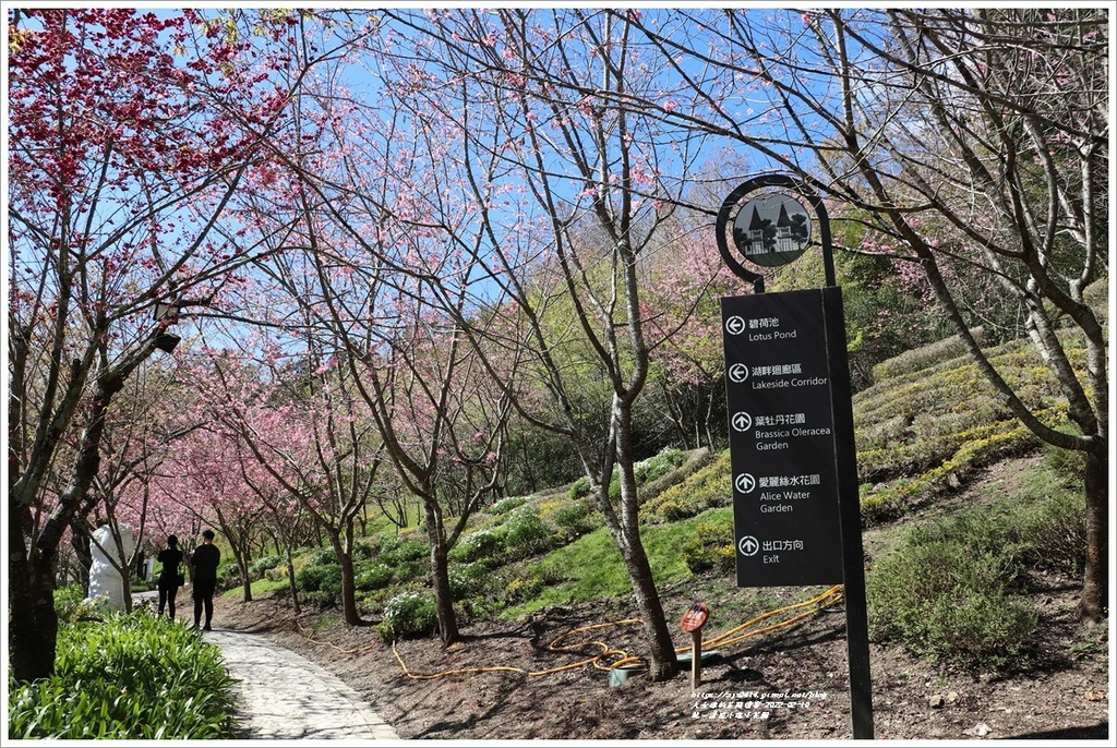 統一清境小瑞士花園 Swiss Garden-2022-02-83.jpg