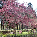 統一清境小瑞士花園 Swiss Garden-2022-02-89.jpg