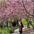 統一清境小瑞士花園 Swiss Garden-2022-02-94.jpg