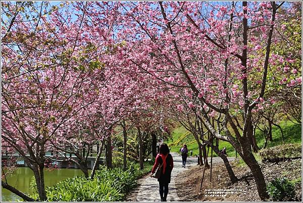 統一清境小瑞士花園 Swiss Garden-2022-02-95.jpg