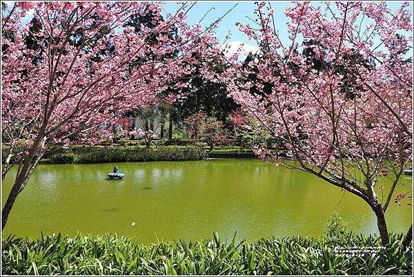 統一清境小瑞士花園 Swiss Garden-2022-02-99.jpg