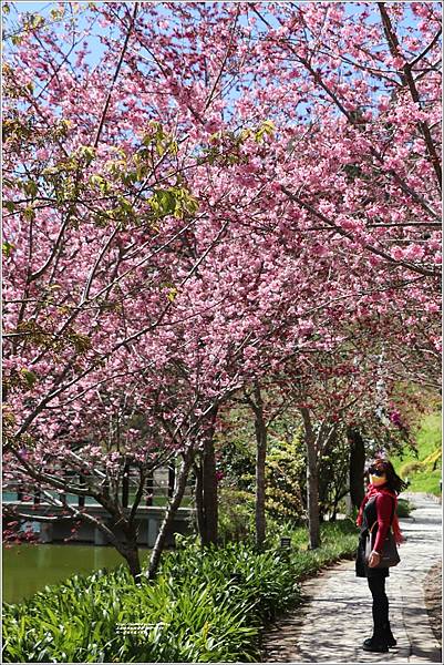 統一清境小瑞士花園 Swiss Garden-2022-02-96.jpg