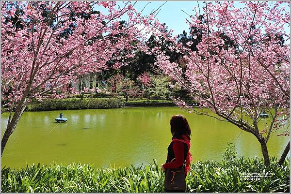 統一清境小瑞士花園 Swiss Garden-2022-02-100.jpg