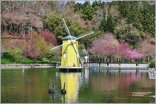 統一清境小瑞士花園 Swiss Garden-2022-02-130.jpg