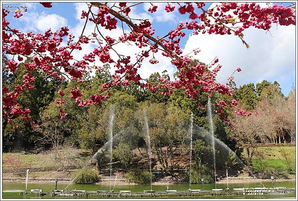 統一清境小瑞士花園 Swiss Garden-2022-02-131.jpg