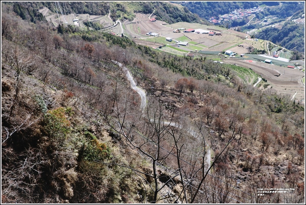 合歡山公路(台14甲線)-2022-02-07.jpg