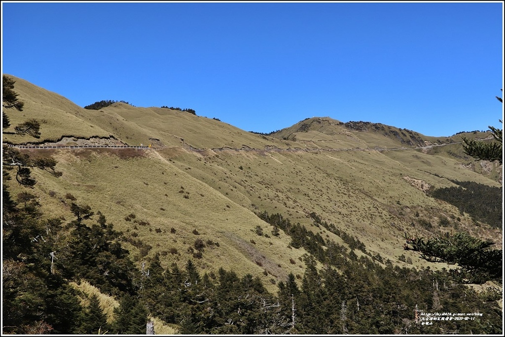 合歡山公路(台14甲線)-2022-02-40.jpg