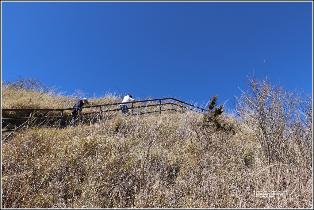 合歡山公路(台14甲線)-2022-02-88.jpg