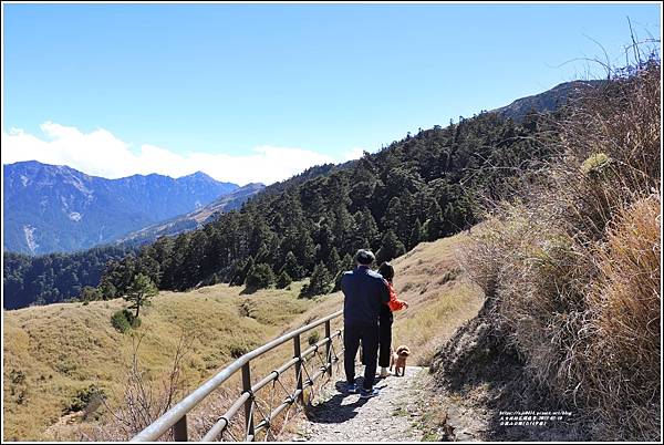 合歡山公路(台14甲線)-2022-02-85.jpg