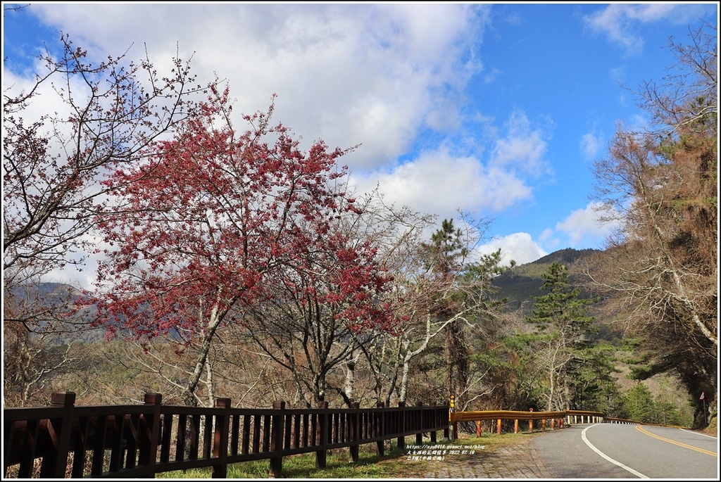 中橫公路(台8線)-2022-02-13.jpg