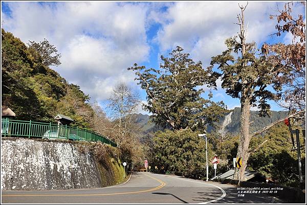 中橫碧綠神木(台8線)-2022-02-02.jpg