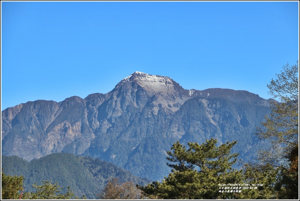 福壽山農場千櫻園-2022-03-02.jpg