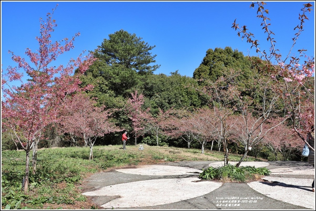 福壽山農場千櫻園-2022-03-21.jpg