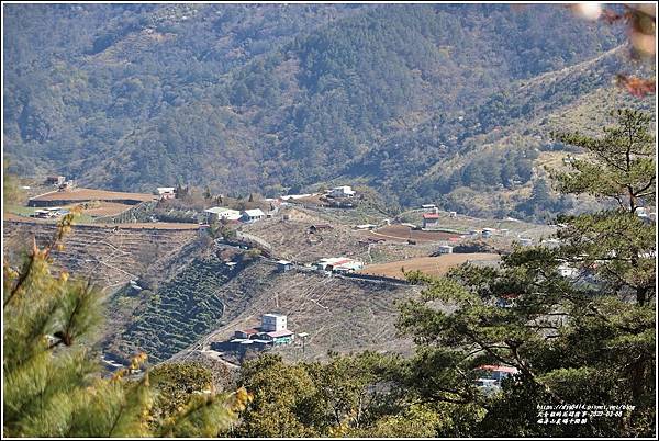 福壽山農場千櫻園-2022-03-103.jpg