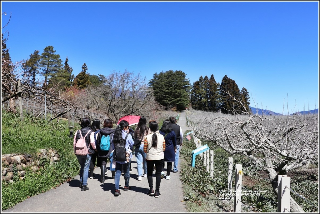 福壽山農場-2022-03-10.jpg 福壽山農場-2022-03-10.jpg