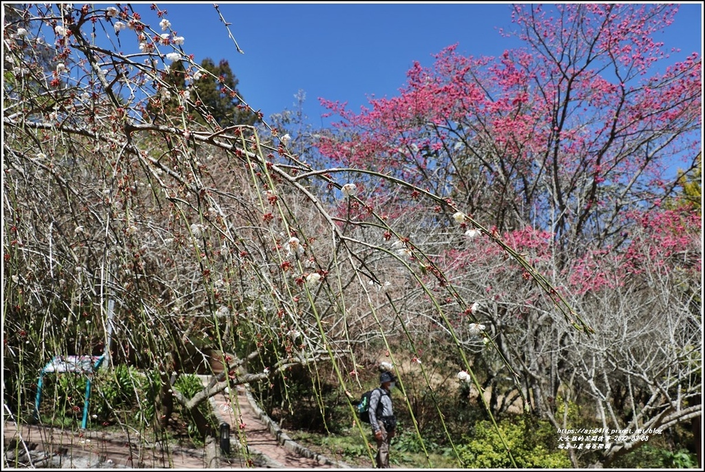 福壽山農場-2022-03-17.jpg