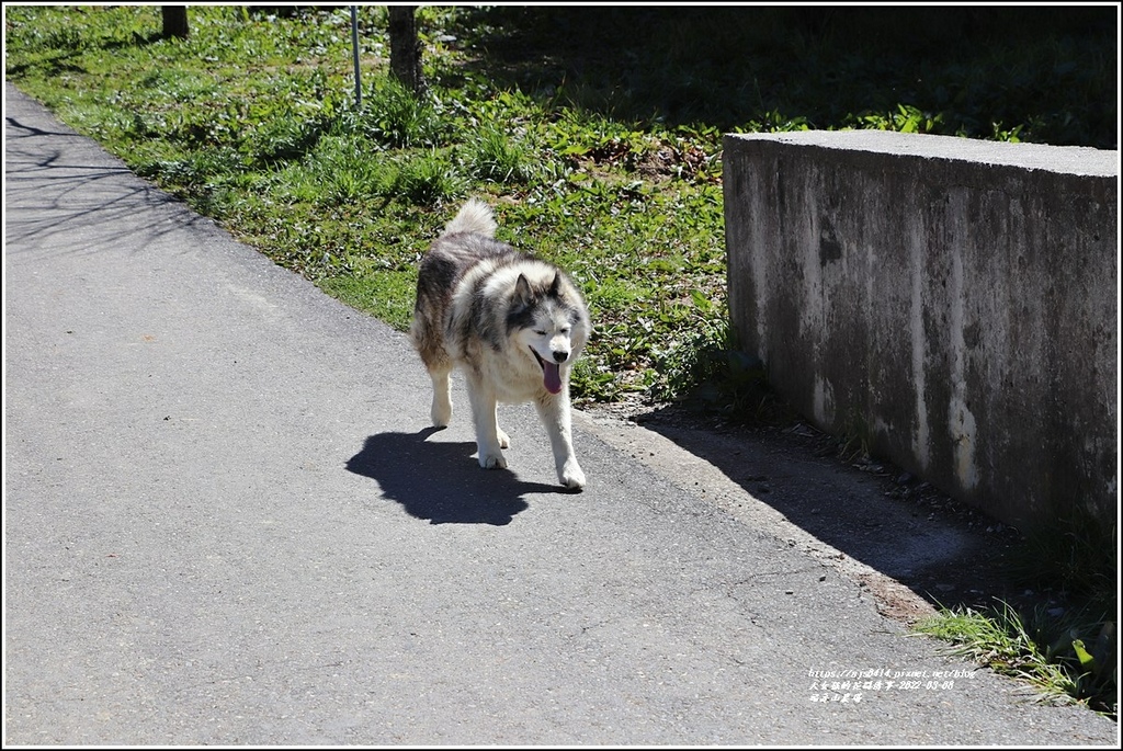 福壽山農場-2022-03-13.jpg 福壽山農場-2022-03-13.jpg