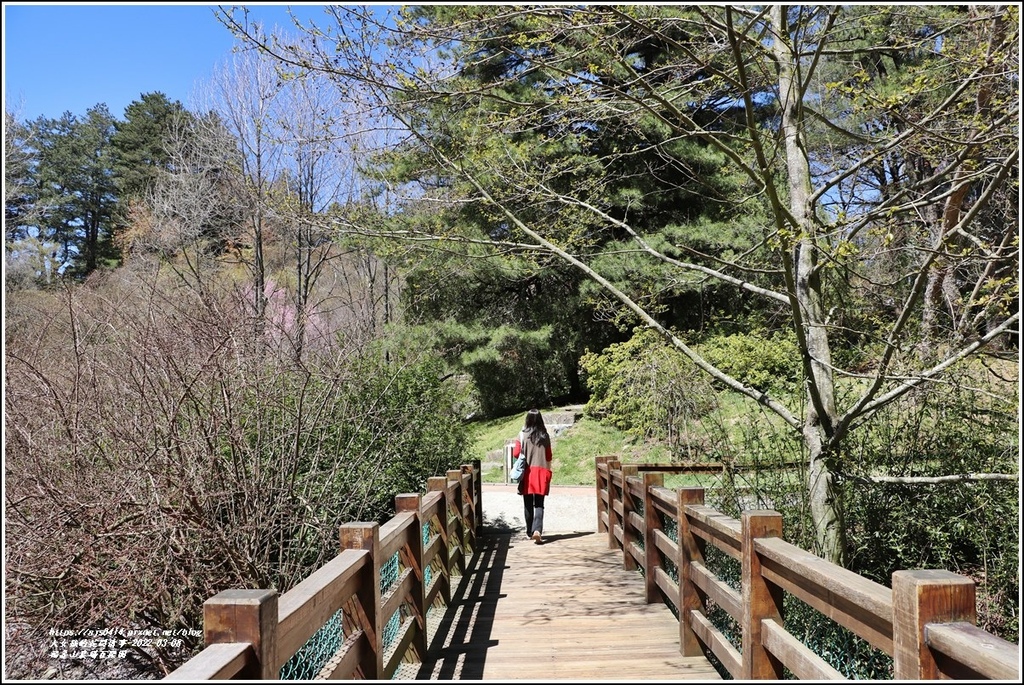 福壽山農場-2022-03-19.jpg 福壽山農場-2022-03-19.jpg