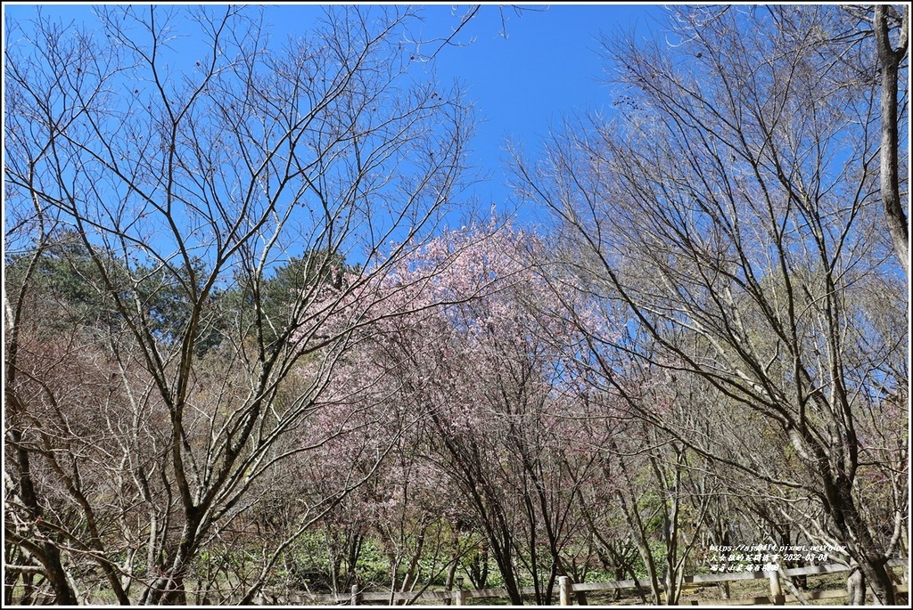 福壽山農場-2022-03-23.jpg 福壽山農場-2022-03-23.jpg