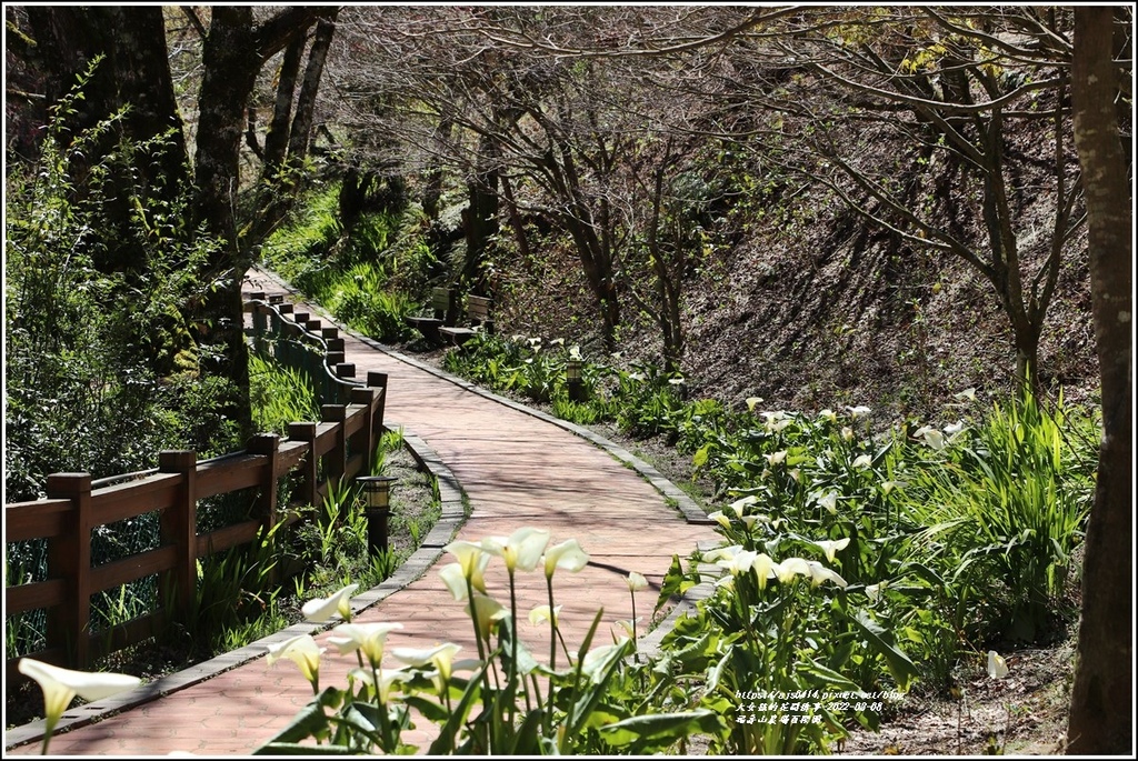 福壽山農場-2022-03-30.jpg 福壽山農場-2022-03-30.jpg