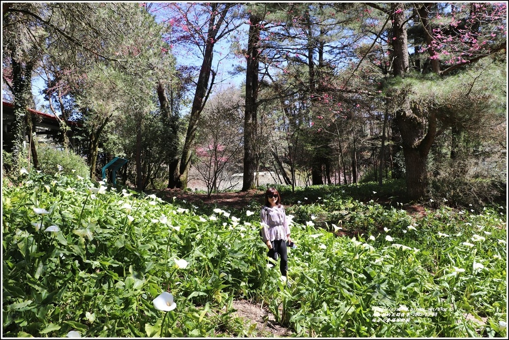 福壽山農場-2022-03-35.jpg 福壽山農場-2022-03-35.jpg