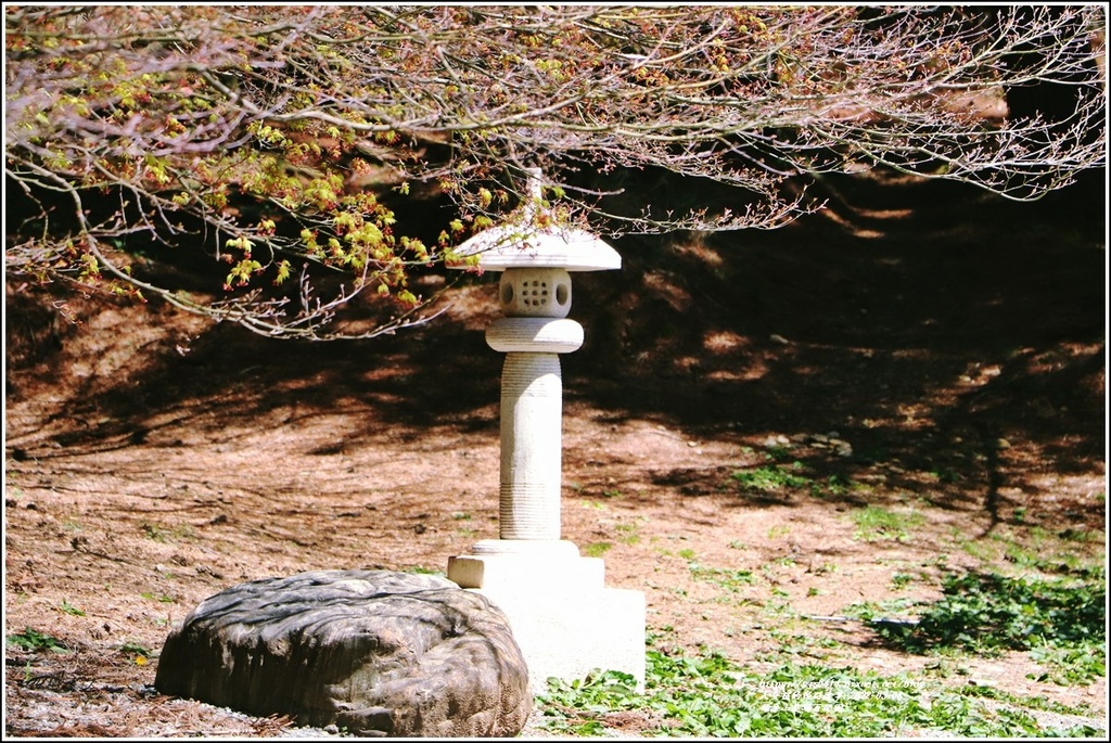 福壽山農場-2022-03-50.jpg 福壽山農場-2022-03-50.jpg