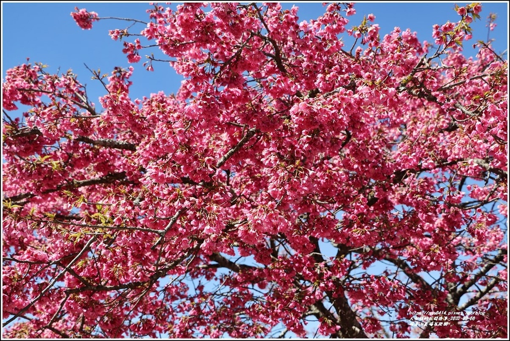 福壽山農場-2022-03-59.jpg 福壽山農場-2022-03-59.jpg