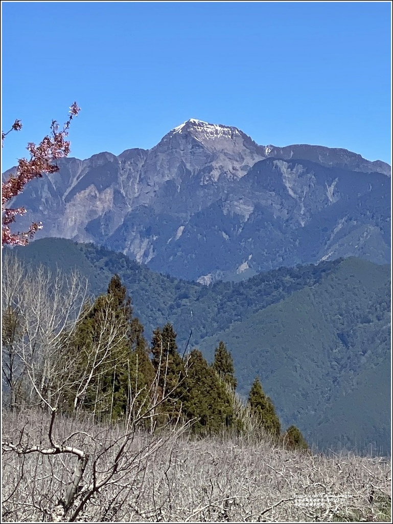 福壽山農場百櫻園-2022-03-10.jpg