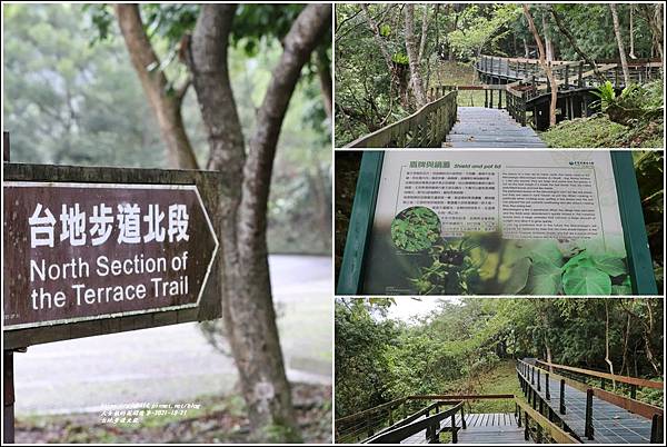 台地步道北段-2021-10-01.jpg