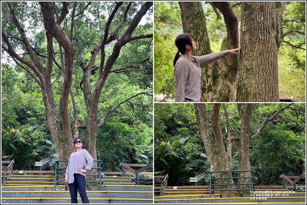 台地步道北段-2021-10-08.jpg 台地步道北段-2021-10-08.jpg