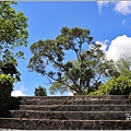 玉里神社遺址-2022-04-16.jpg