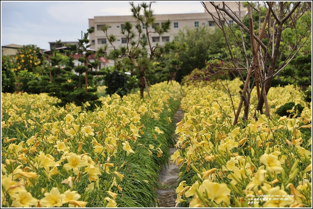 嘉德花田-2022-05-36.jpg