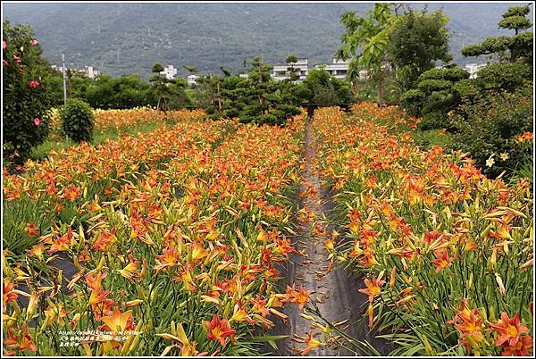 嘉德花田-2022-05-35.jpg