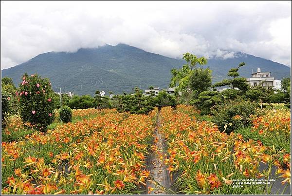 嘉德花田-2022-05-62.jpg