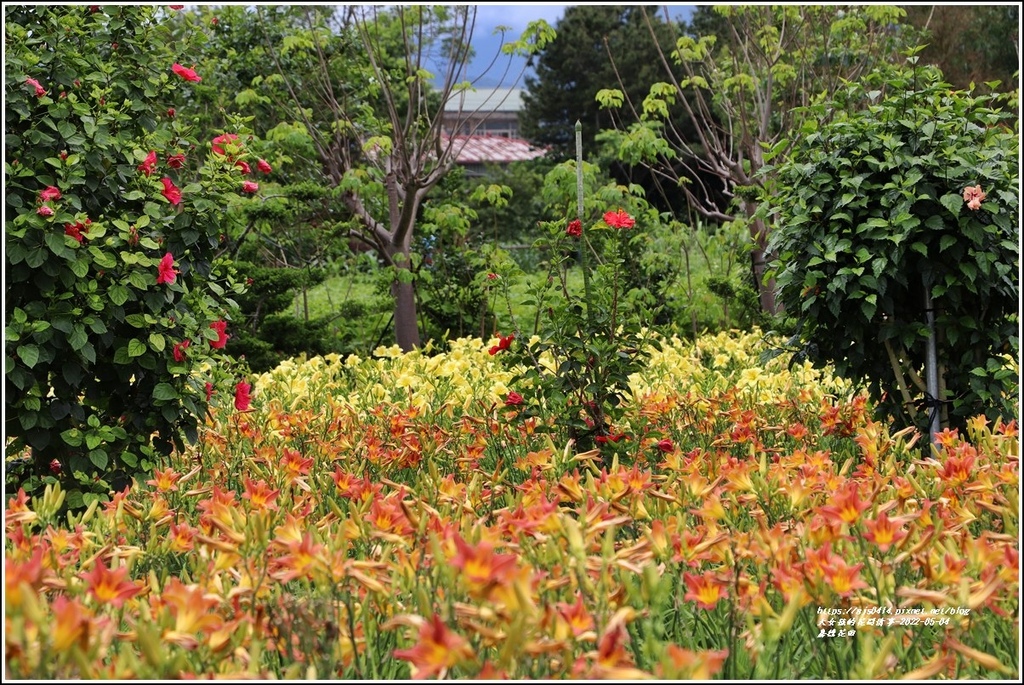 嘉德花田-2022-05-64.jpg