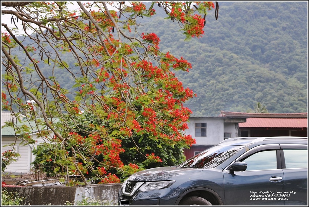 花蓮193鳳凰木(樂德公路段)-2022-05-07.jpg