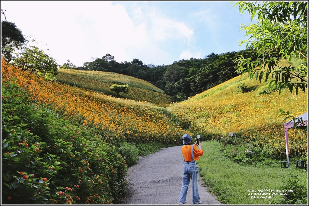 台東知本天山農場-2022-05-08.jpg