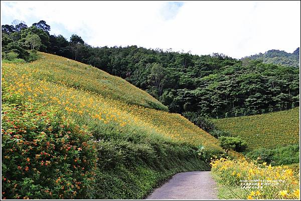 台東知本天山農場-2022-05-74.jpg