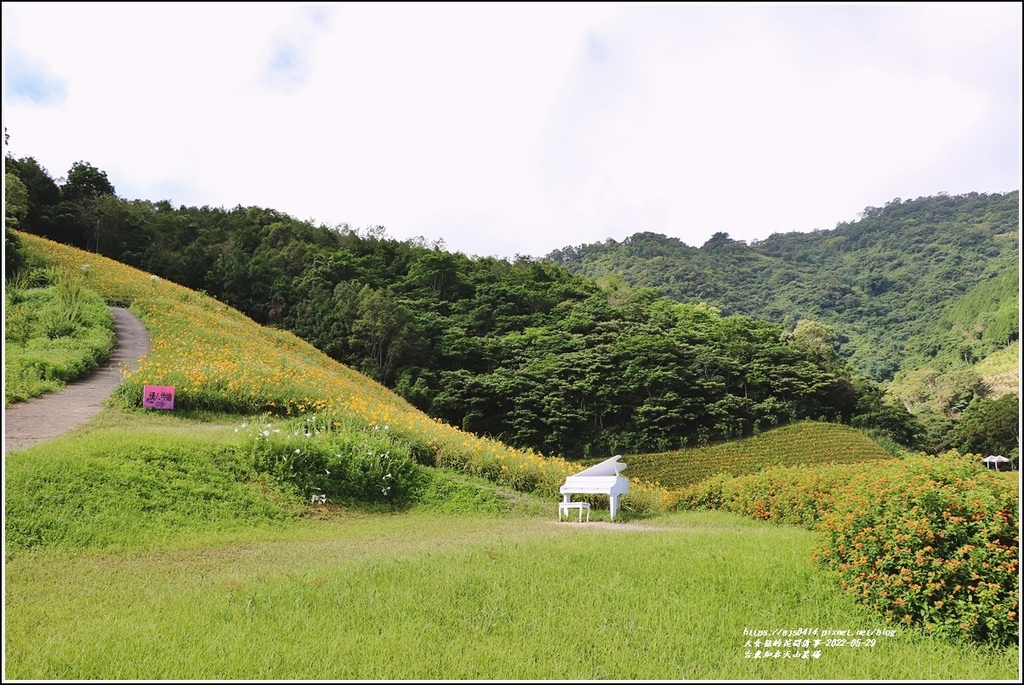 台東知本天山農場-2022-05-71.jpg