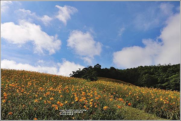 台東知本天山農場-2022-05-86.jpg