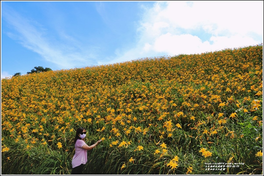 台東知本天山農場-2022-05-110.jpg