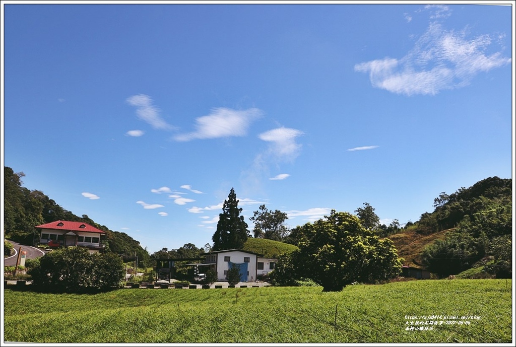 赤柯山繡球花-2022-06-15.jpg 赤柯山繡球花-2022-06-15.jpg